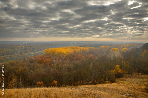 Autumn landscape. View of the forest with yellow foliage against the background of a cloudy sky.