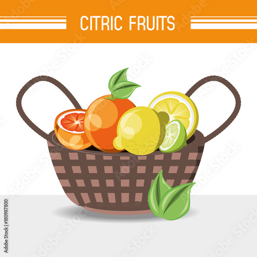 basket with citric fruits over white background colorful desisgn vector illustration photo