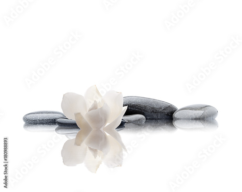 Photography spa aislado de piedras flor y agua