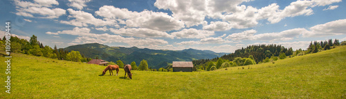 Grazing horse at high-land pasture at Carpathian Mountains in rays of sunset. Panorama of summer pasture on a background of mountains.