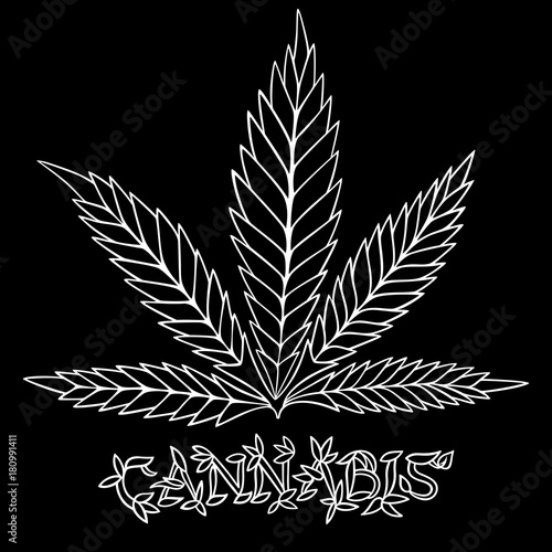 Cannnabis. Doodle and zentangle style. Hand drawn coloring book. Vector illustration.