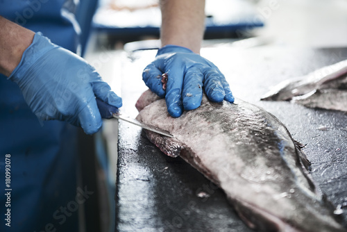 Photography fresh fish in a fishshop
