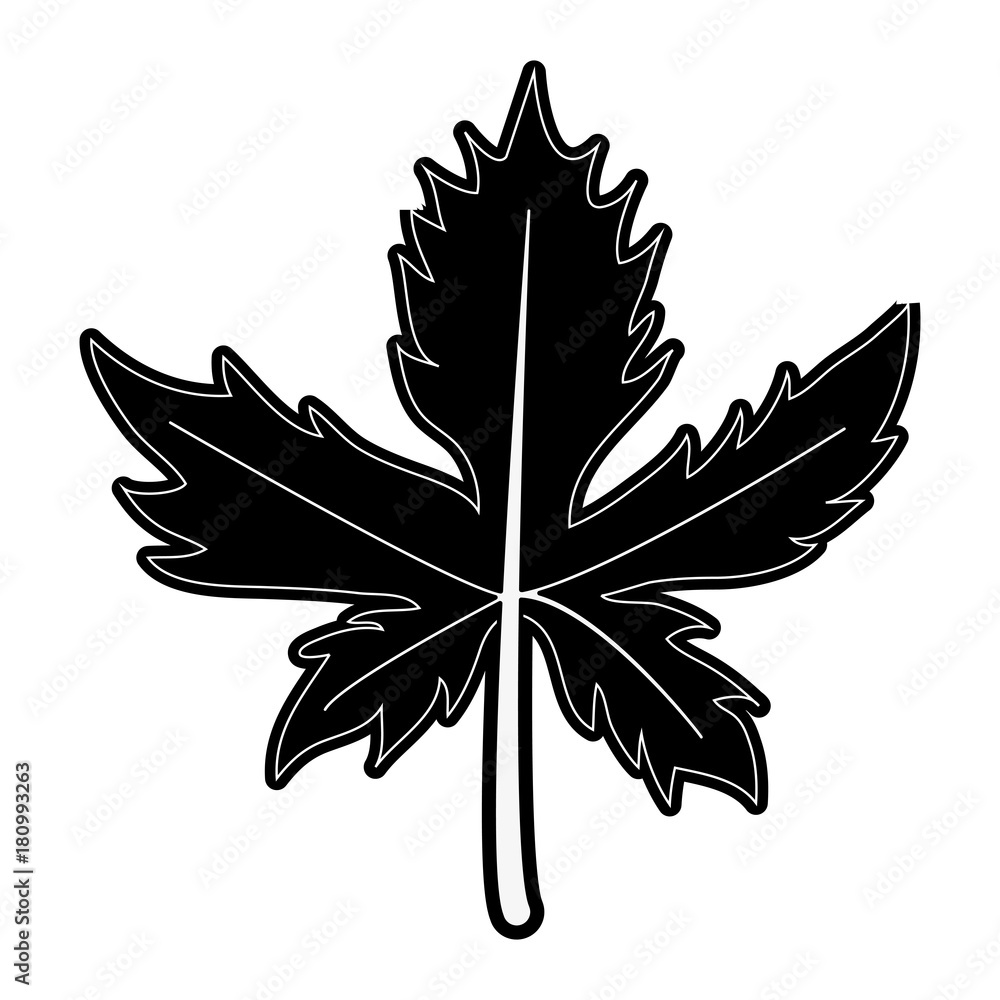 Leaf eco symbol Leaf eco symbol