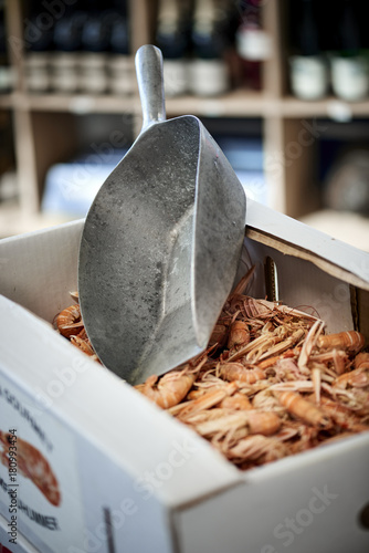 fresh fish in a fishshop photo