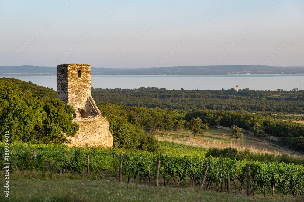 Church ruins near Lake Balaton, Hungary