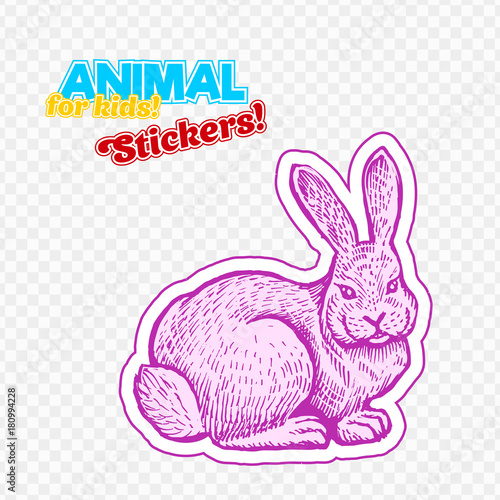 Farm animal rabbit in sketch style on colorful sticker. Isolated on transparent background. Can be used for cute coloring book for children. Include silhouette for paper cutting