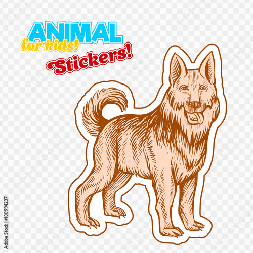 Farm animal guard dog in sketch style on colorful sticker. Isolated on transparent background. Can be used for cute coloring book for children. Include silhouette for paper cutting