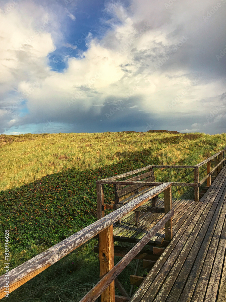 Weg zum Strand durch die Dühnen