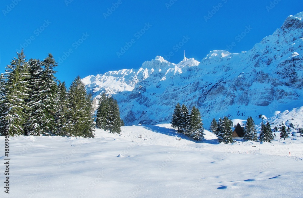 Schwägalp und Alpstein im Schnee