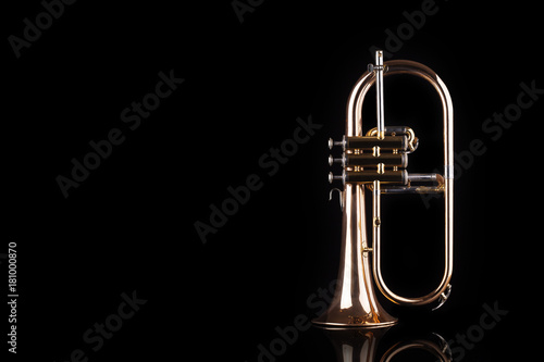 Trumpet, wind instrument photo