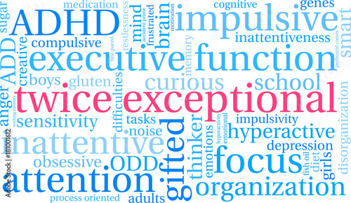 Twice Exceptional ADHD Word Cloud on a white background. 