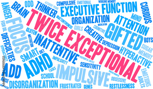 Twice Exceptional ADHD Word Cloud on a white background. 