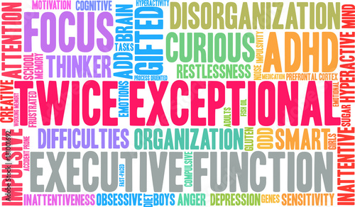 Twice Exceptional ADHD Word Cloud on a white background. 