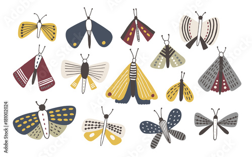 Set of dark colored doodle moths isolated on white background. Nights butterf...