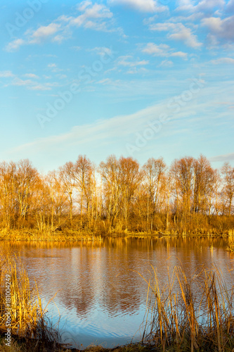 Landscape in yellow autumn colours. Forest lake in yellowed woods