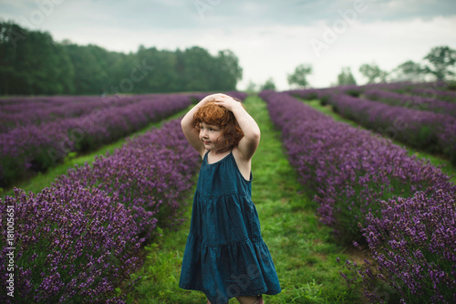 Toddler between rows of lavender, Campbellcroft, Canada photo