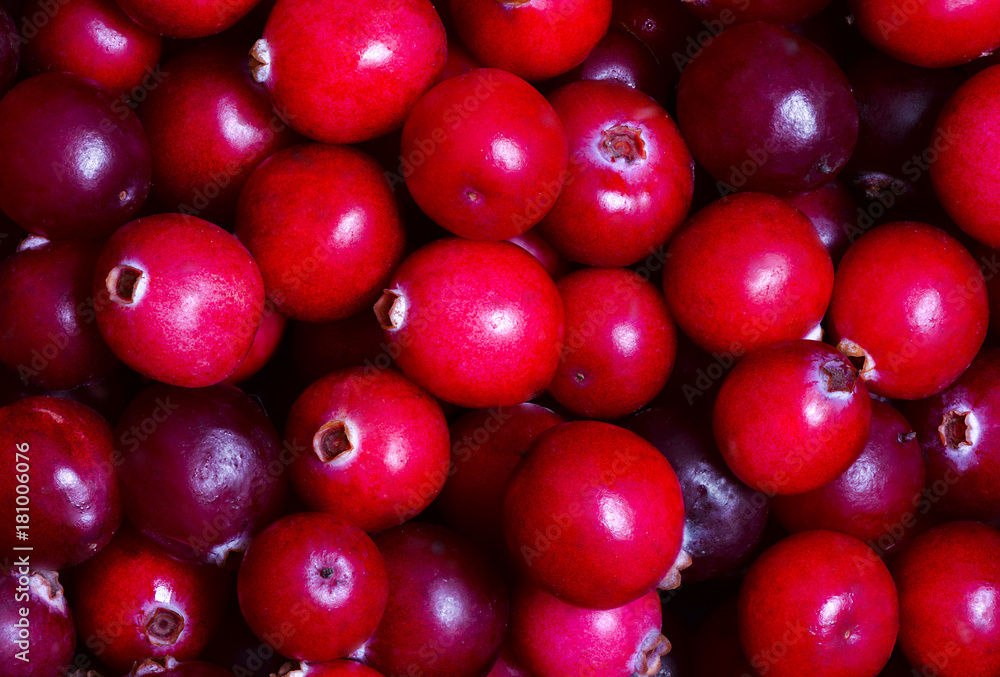 Red cranberries closeup as a texture Red cranberries closeup as a texture