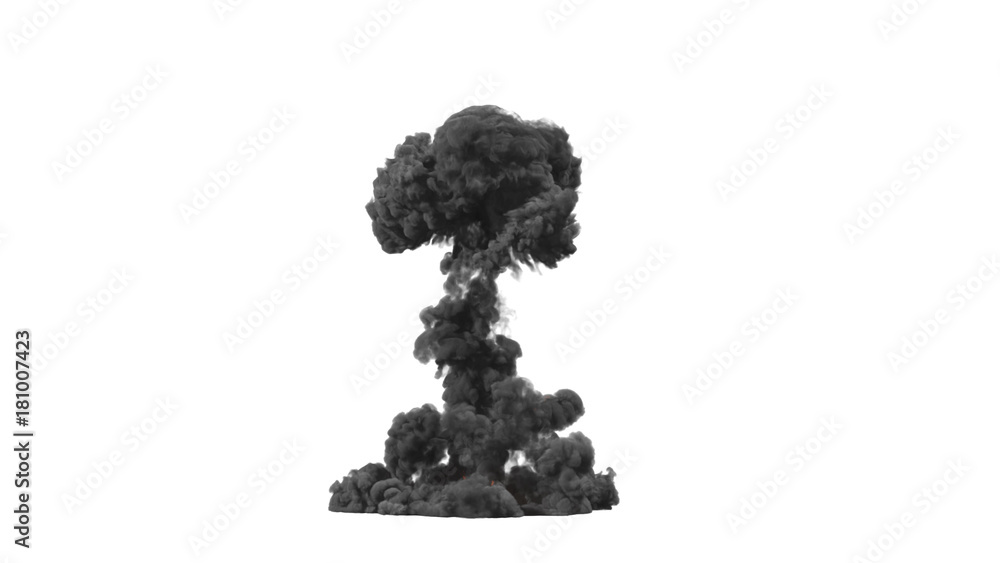 Fototapeta premium mushroom cloud from the explosion