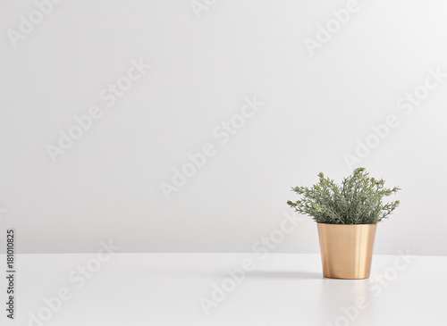 bronze vase of flower white background