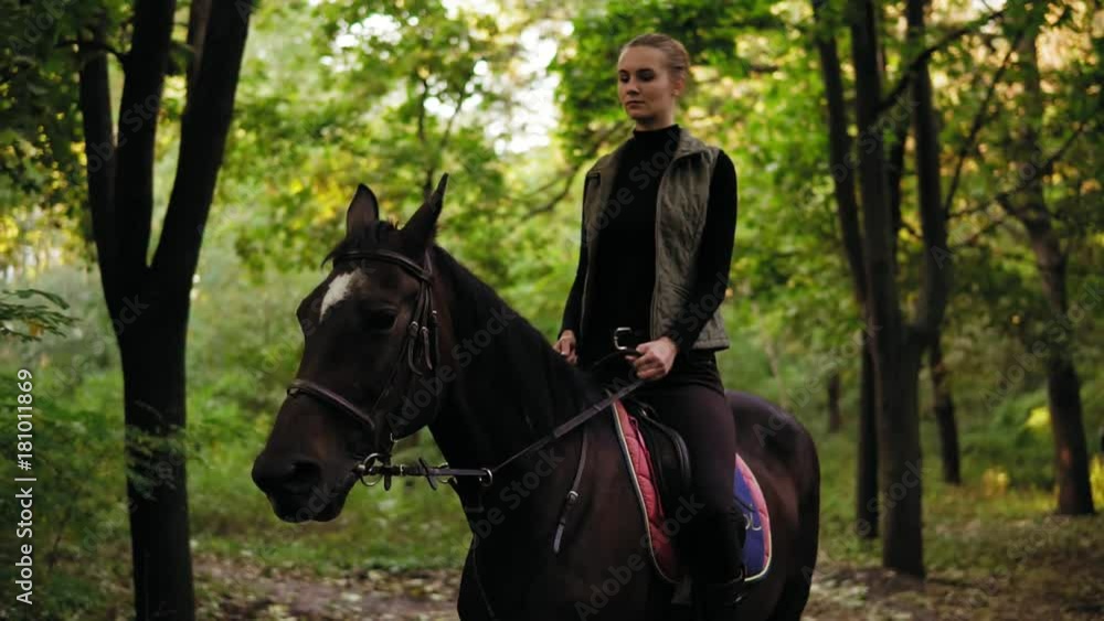 Atractive woman riding beautiful brown horse in park during sunny day. Beautiful female rider sitting in saddle on stallion and walking through the forest Atractive woman riding beautiful brown horse in park during sunny day. Beautiful female rider sitting in saddle on stallion and walking through the forest