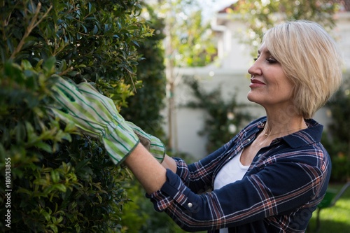 Beautiful woman pruning plants in garden photo