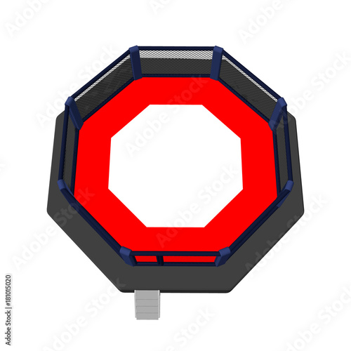 Octagon fight cage. Isolate...
