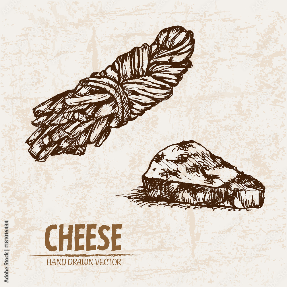 Naklejka premium Digital vector detailed line art cheese braid