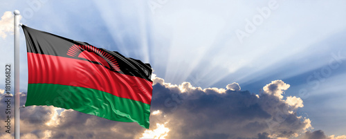 Malawi flag on blue sky. 3d illustration
