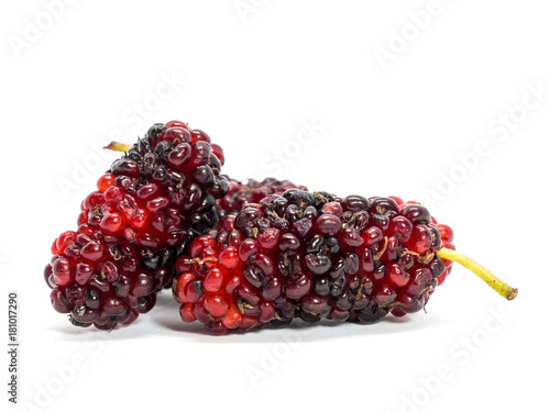 Group of mulberries isolated on white background. Mulberry this a fruit and can be eaten.