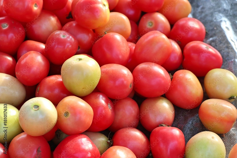 tomatoes at the market tomatoes at the market