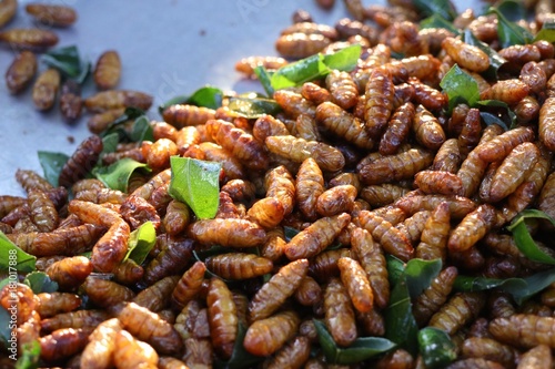 Fototapeta Naklejka Na Ścianę i Meble -  Fried Insect at street food