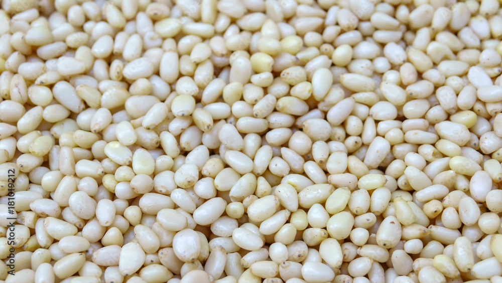 Peeled kernels of pine nuts Peeled kernels of pine nuts