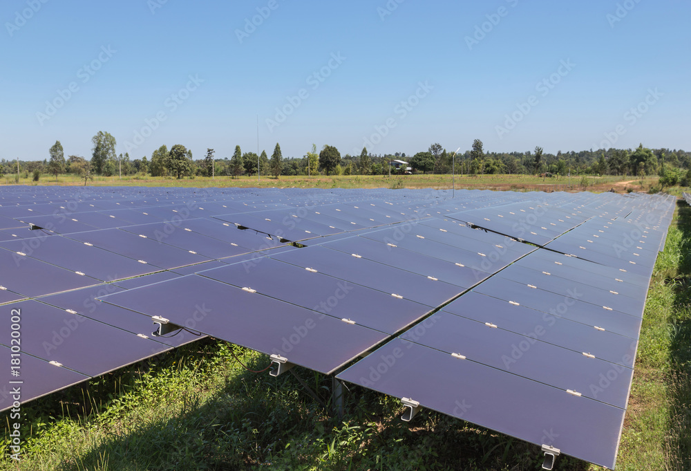 Close up array of thin film solar cells or amorphous silicon solar ...
