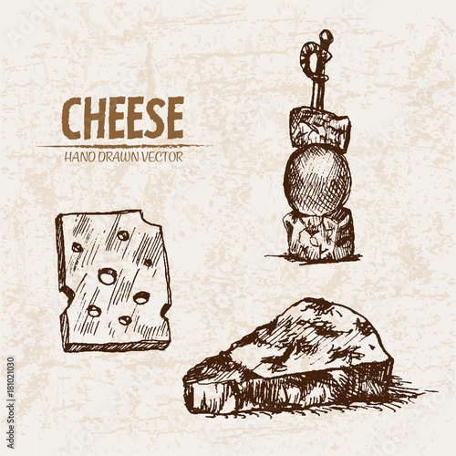Digital vector detailed line art sliced cheese