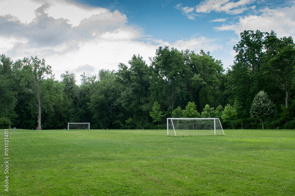 Obraz premium Soccer Playing Field