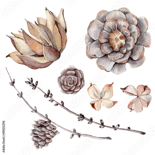 watercolor set of  botanical illustrations.