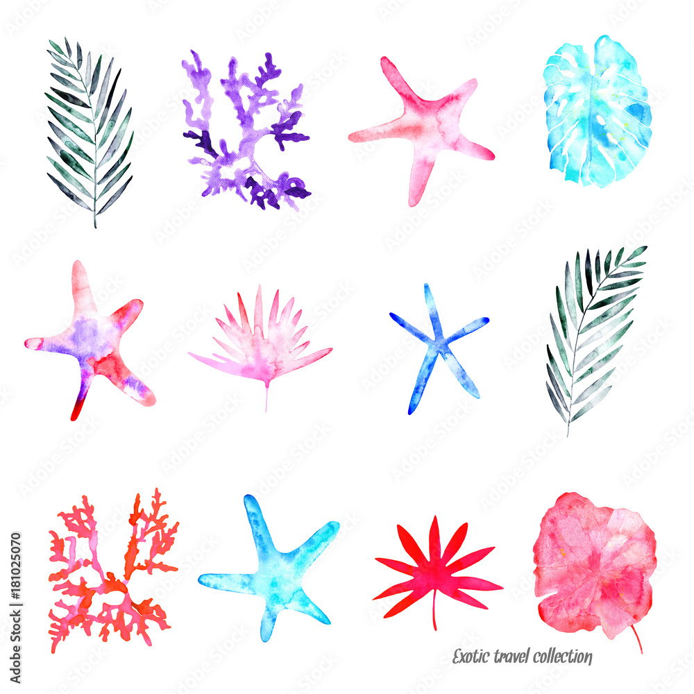 Exotic hand painted set on the white background: branches with leaves, coral reefs, starfishes, tropical plants. 