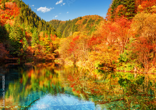 Autumn woods reflected in crystal water of the Five Flower Lake