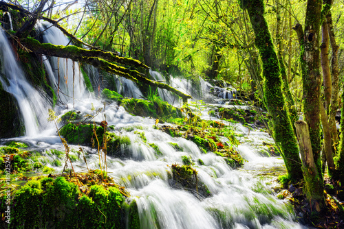 Amazing waterfall with crystal clear water among green woods