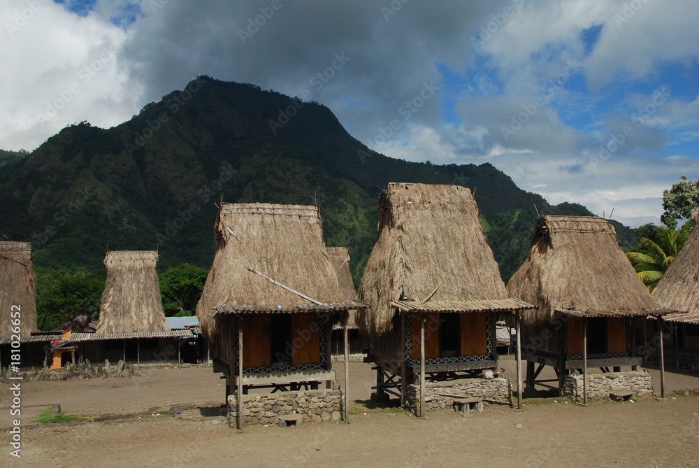 Village traditionnel Ngada prés de Bajawa, île de Florès, Indonésie Village traditionnel Ngada prés de Bajawa, île de Florès, Indonésie