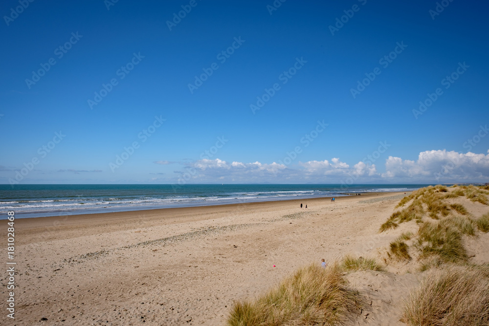 The beach The beach