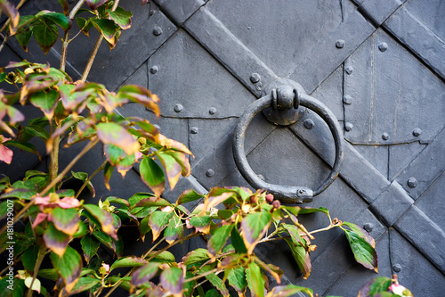 Obraz na plátně Detail of an old iron door, with a snake-shaped knocker eating its tail