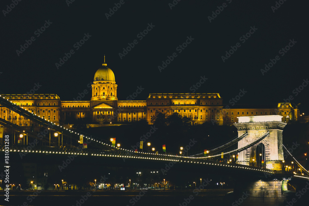 Hungary, Budapest, night city view..Europe, old town, night life. Bridge across Danube and Buda Castle.