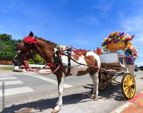 Horse carriage  in Lampang, Thailand © thanwa