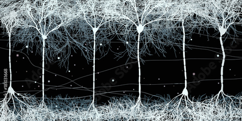 neuron cells forming net
