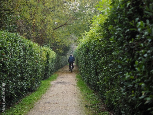 Country road between hedges, with cyclist.