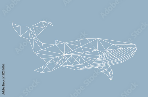 whale abstraction