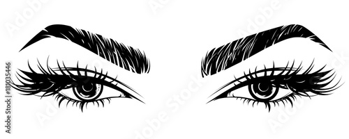 illustration of eye makeup and brow on white background