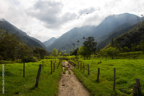 Ein Pfad zwischen die Berge des Cocora-Tals in Kolumbien