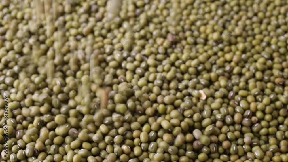 Close video of slowly pouring organic mung beans. Close video of slowly pouring organic mung beans.